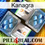 Kanagra viagra5
